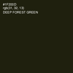 #1F200D - Deep Forest Green Color Image